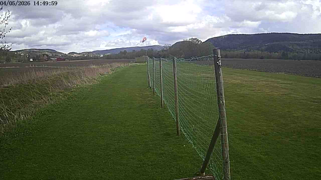 Webcam img missing