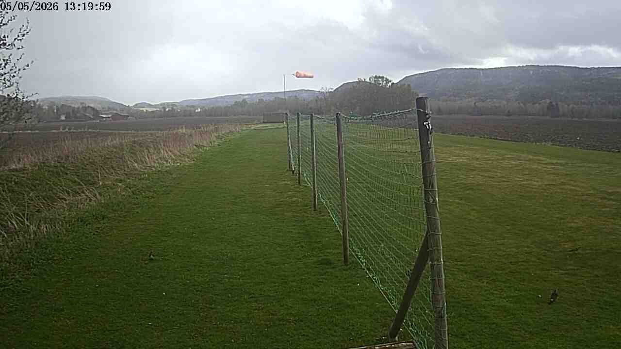 Webcam img missing