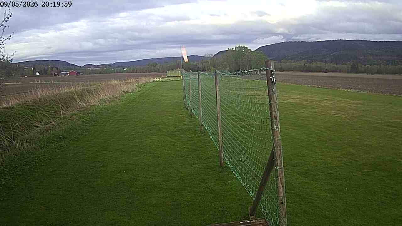 Webcam img missing