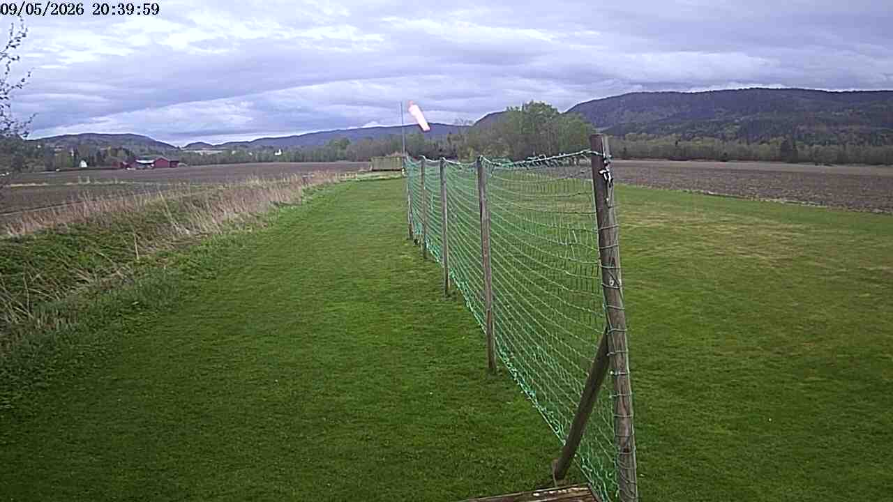 Webcam img missing