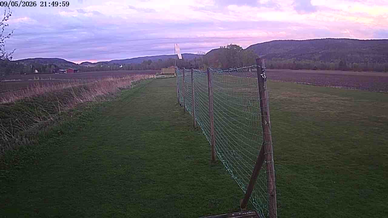 Webcam img missing