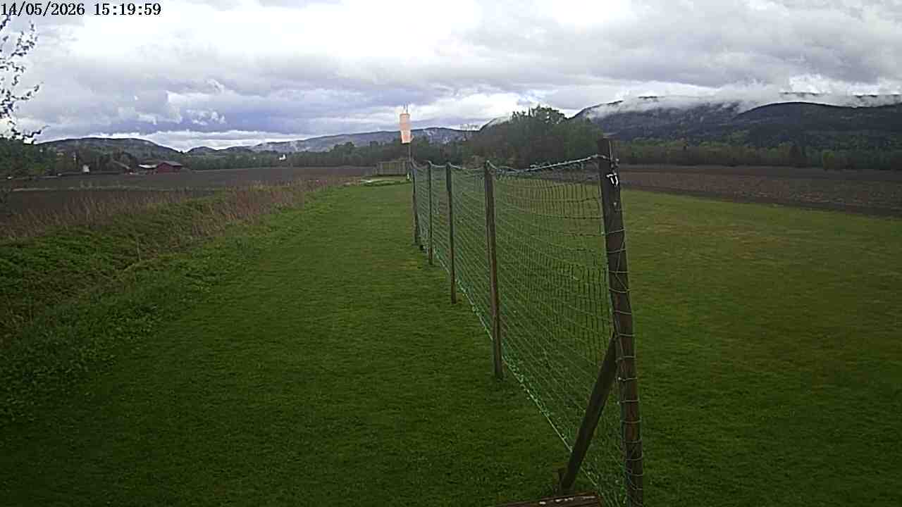 Webcam img missing