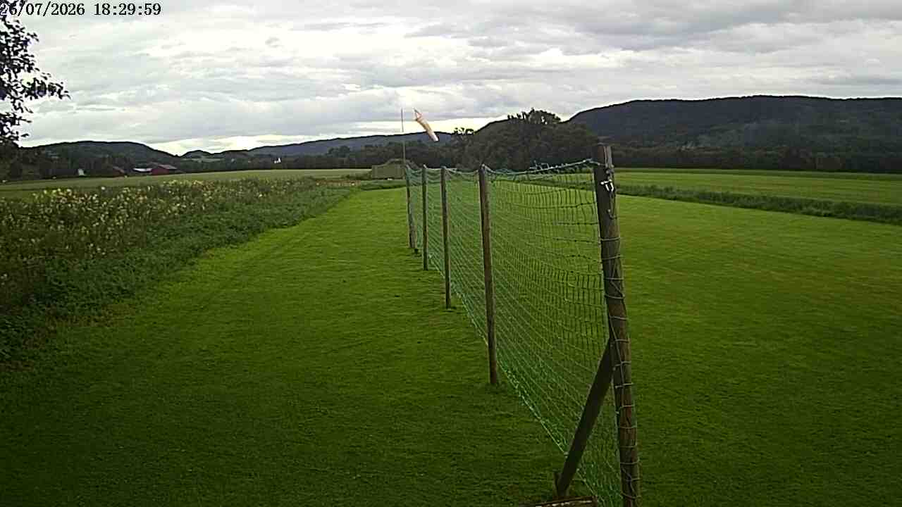 Webcam img missing