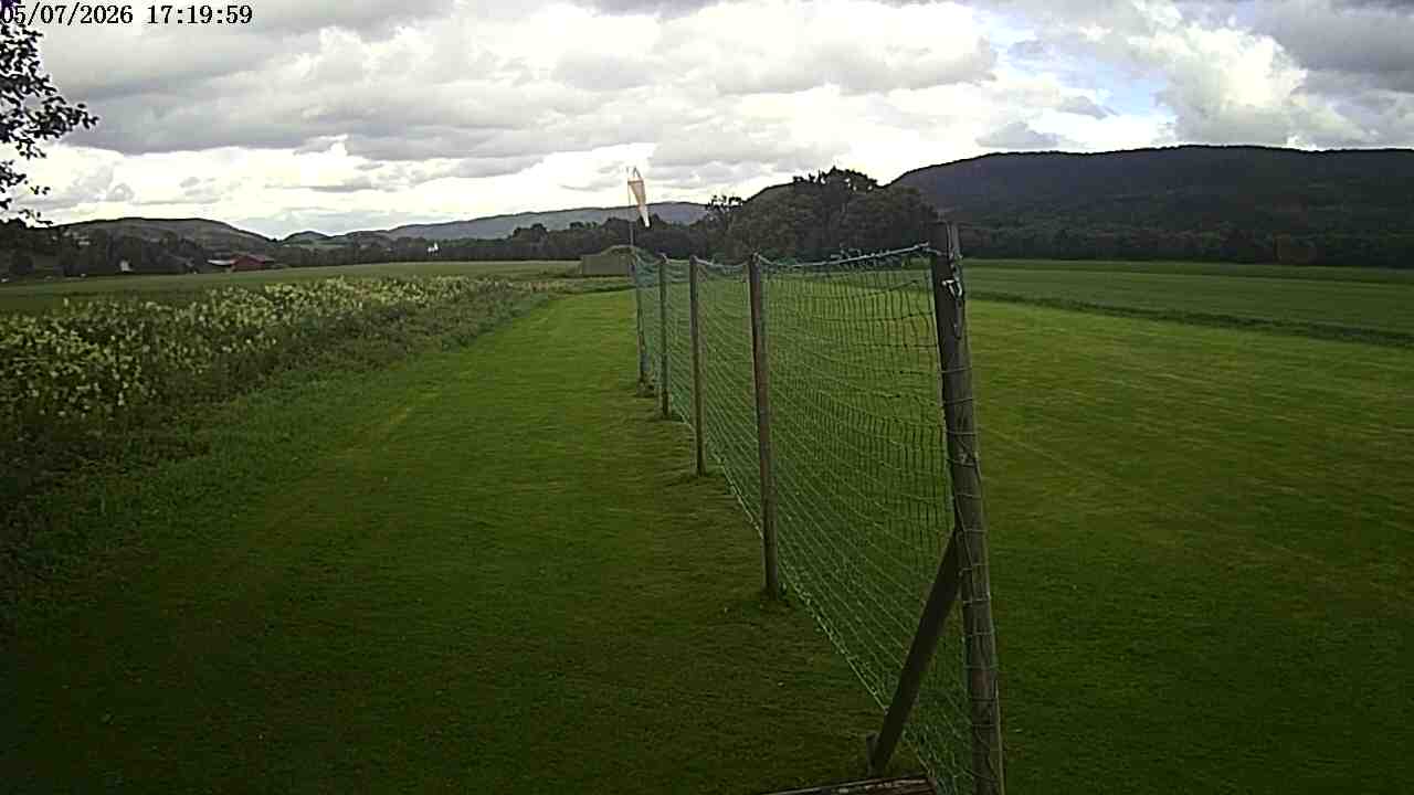 Webcam img missing