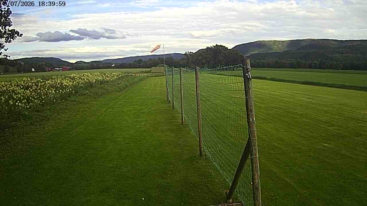 Webcam img missing