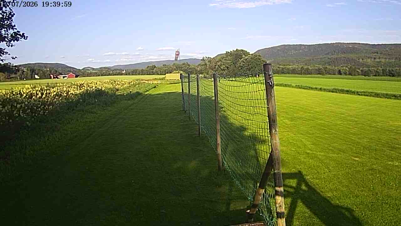 Webcam img missing