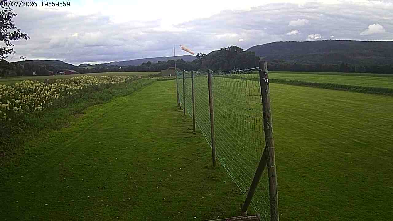 Webcam img missing