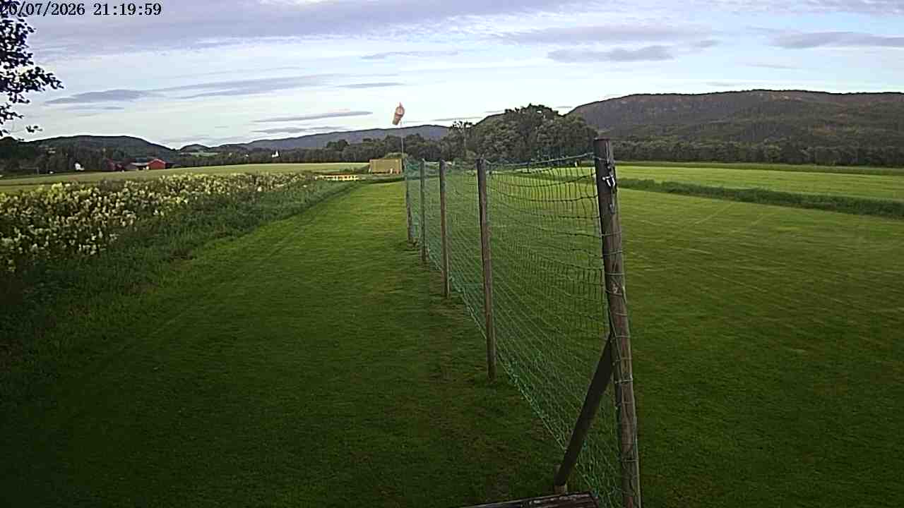 Webcam img missing