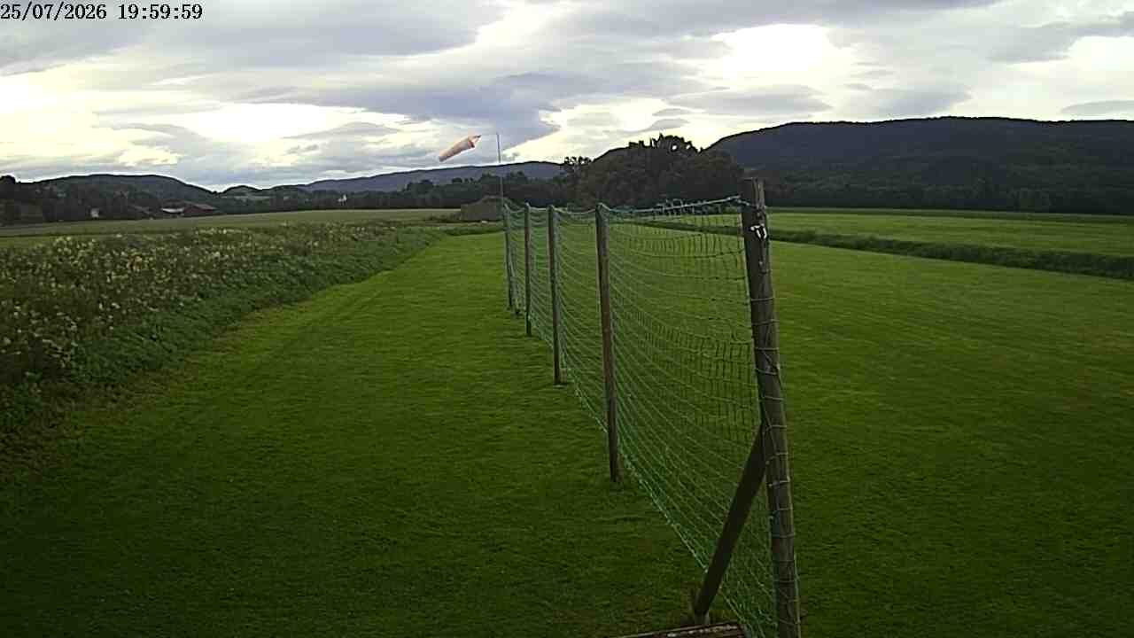 Webcam img missing