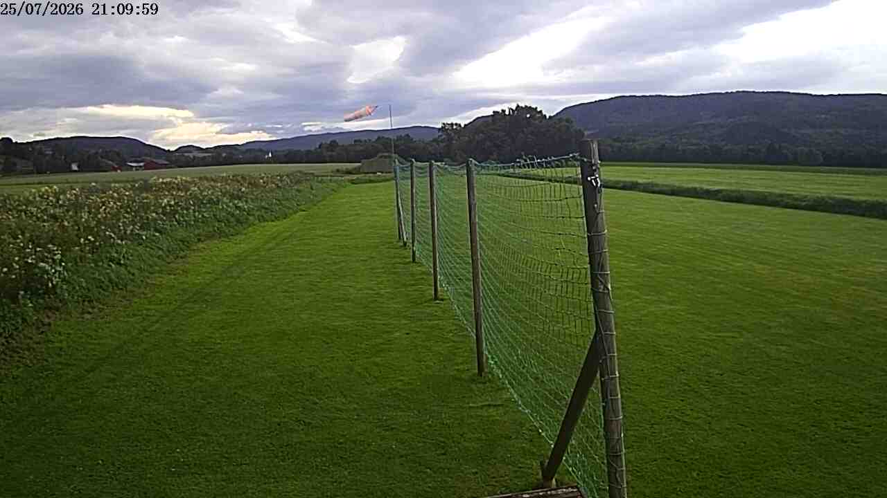 Webcam img missing