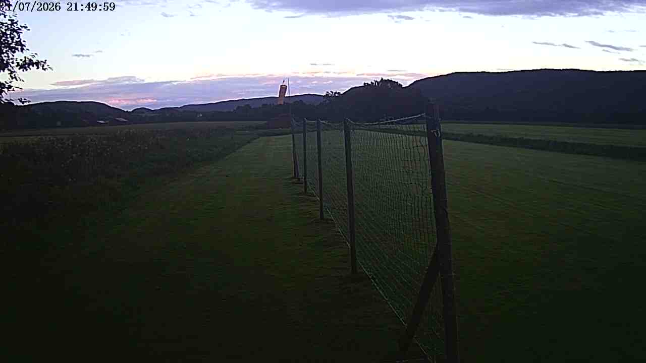 Webcam img missing