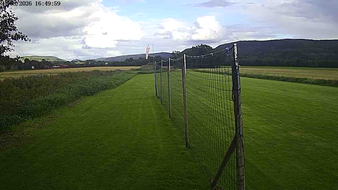 Webcam img missing