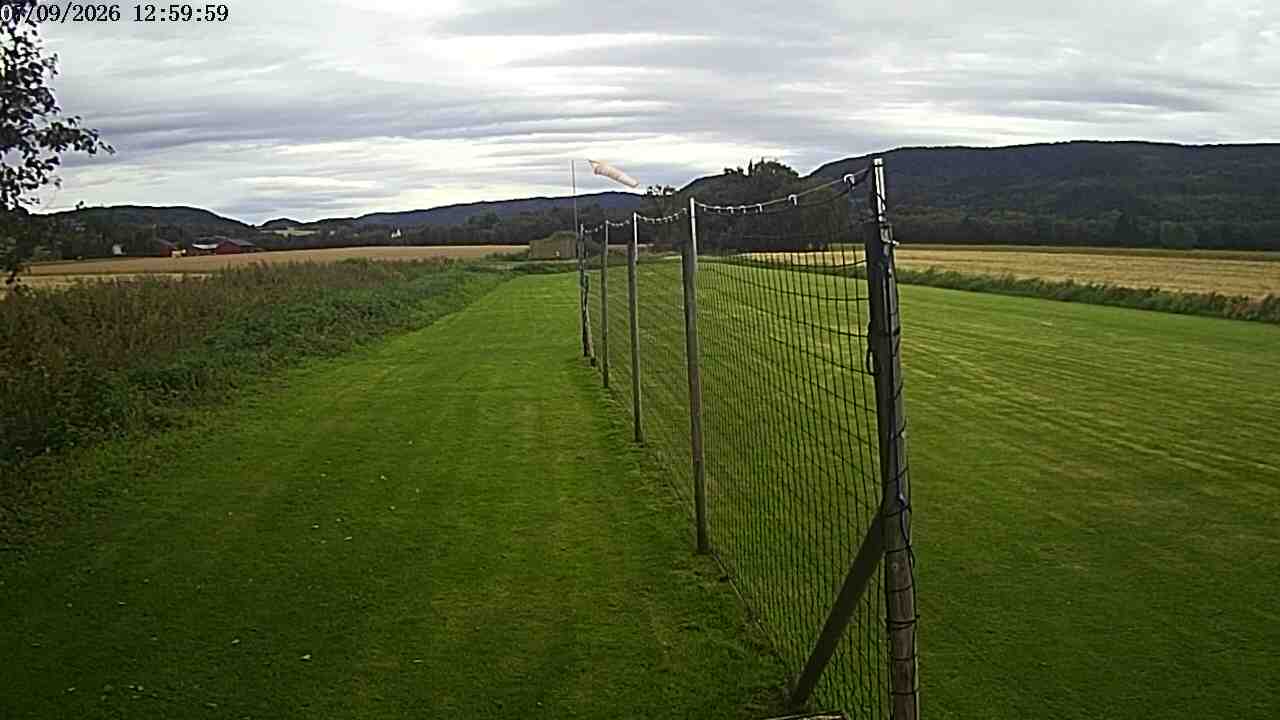 Webcam img missing