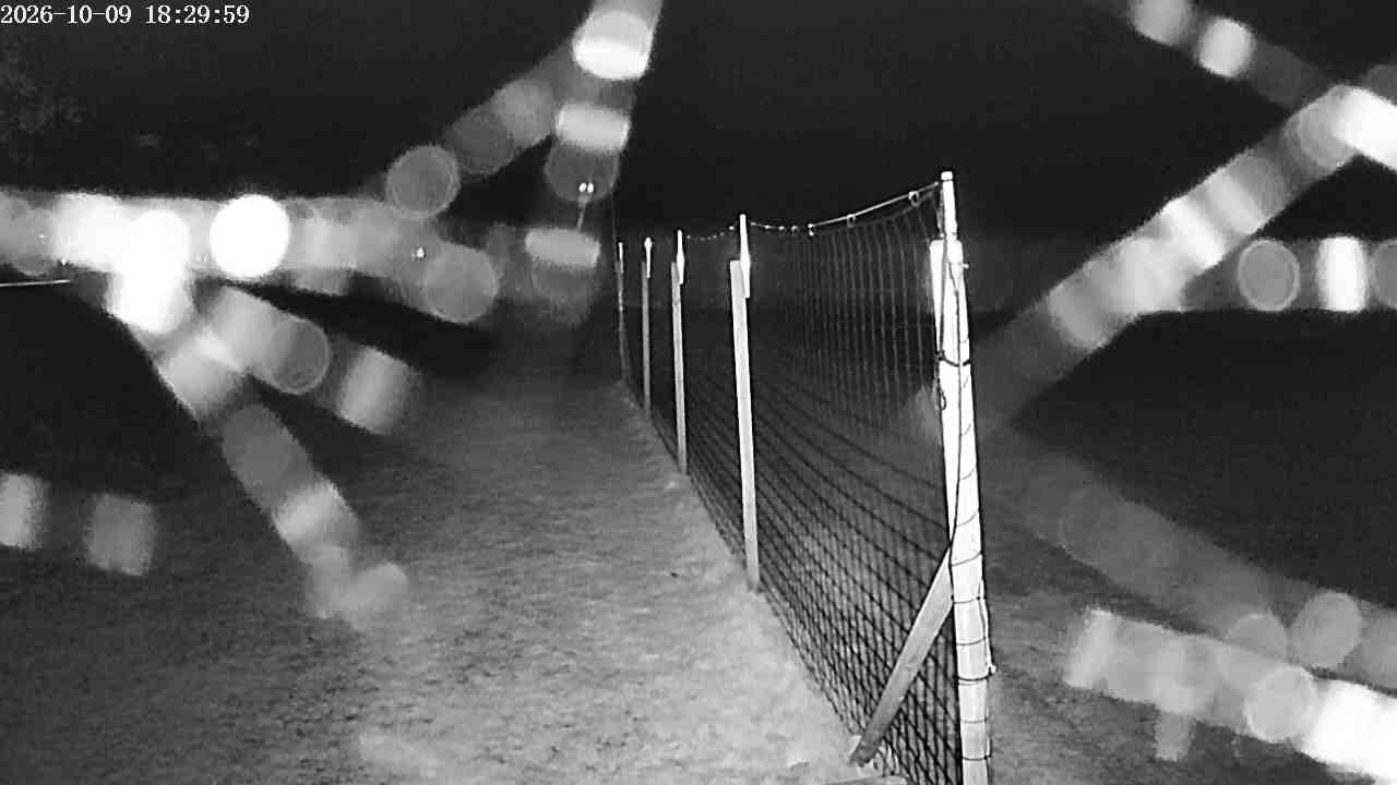 Webcam img missing