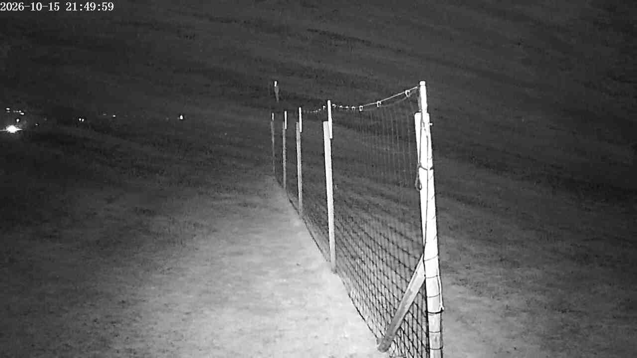 Webcam img missing